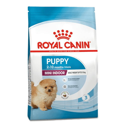 SHN MINI INDOOR PUPPY.png